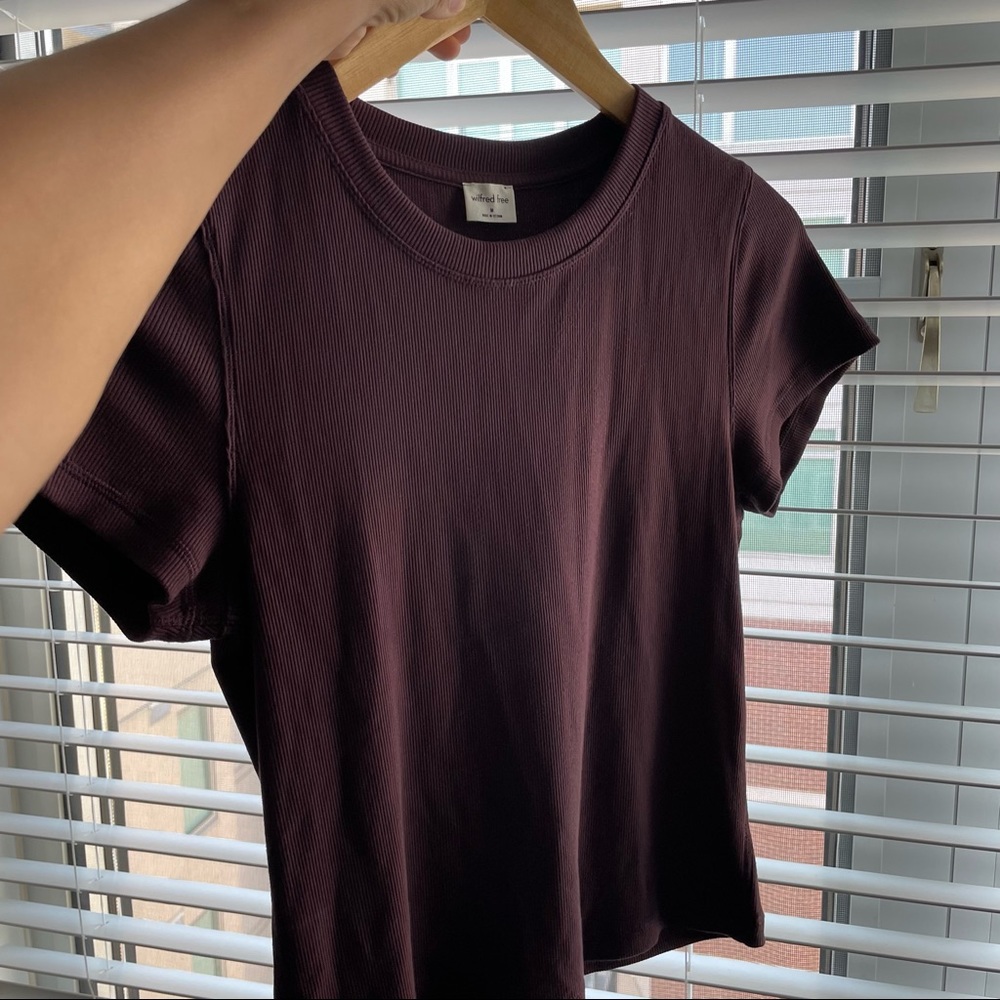 Aritzia plum crop top ribbed size medium